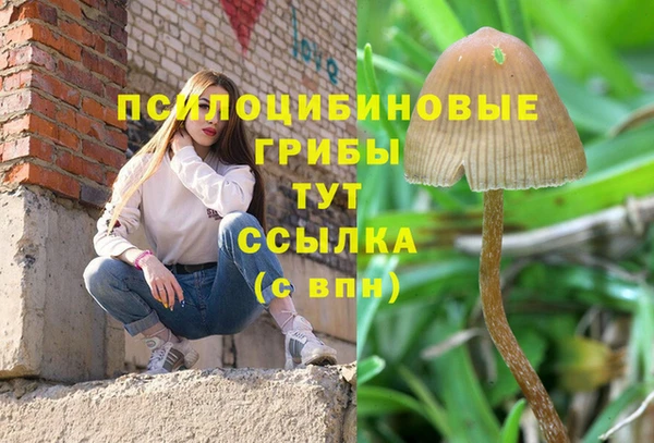 соль ск Володарск